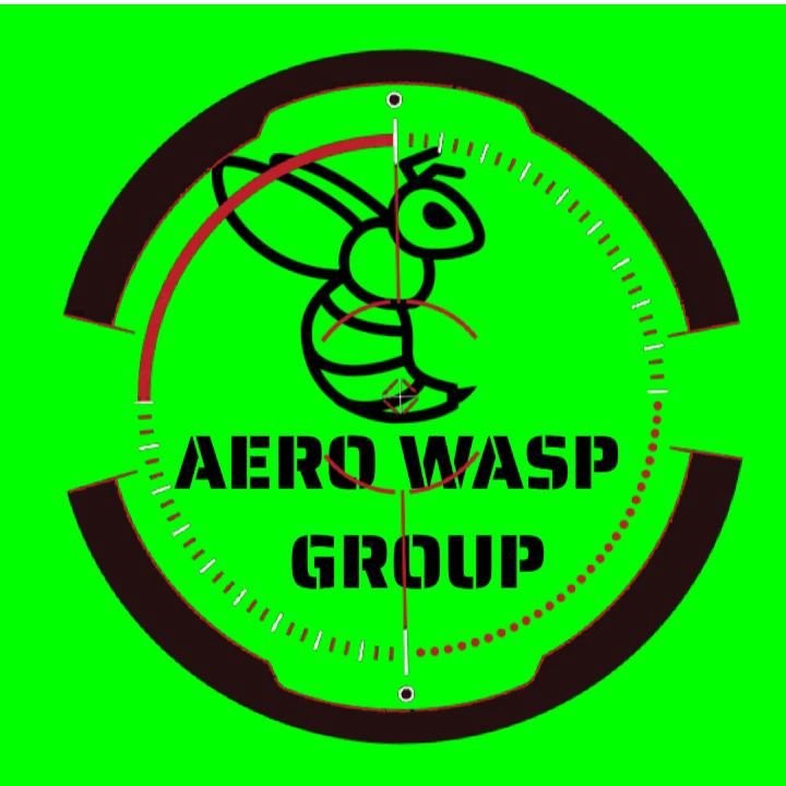 AERO WASP GROUP